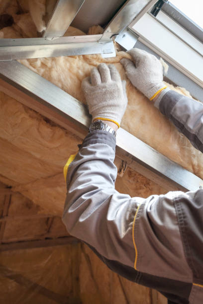 Best Insulation for Metal Buildings  in Sa Conejo, CA